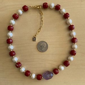 Dannijo real peal coral and amethyst bead necklace